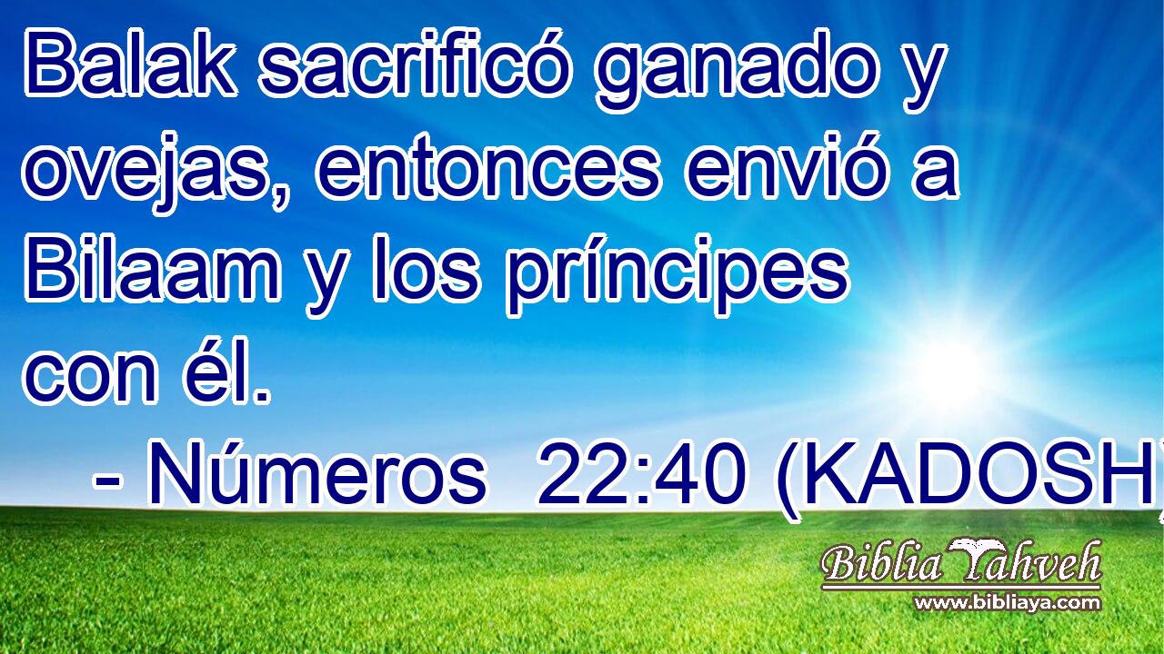  Balak sacrificó ganado y ovejas, entonces envió a Bilaam y los príncipes con él. 