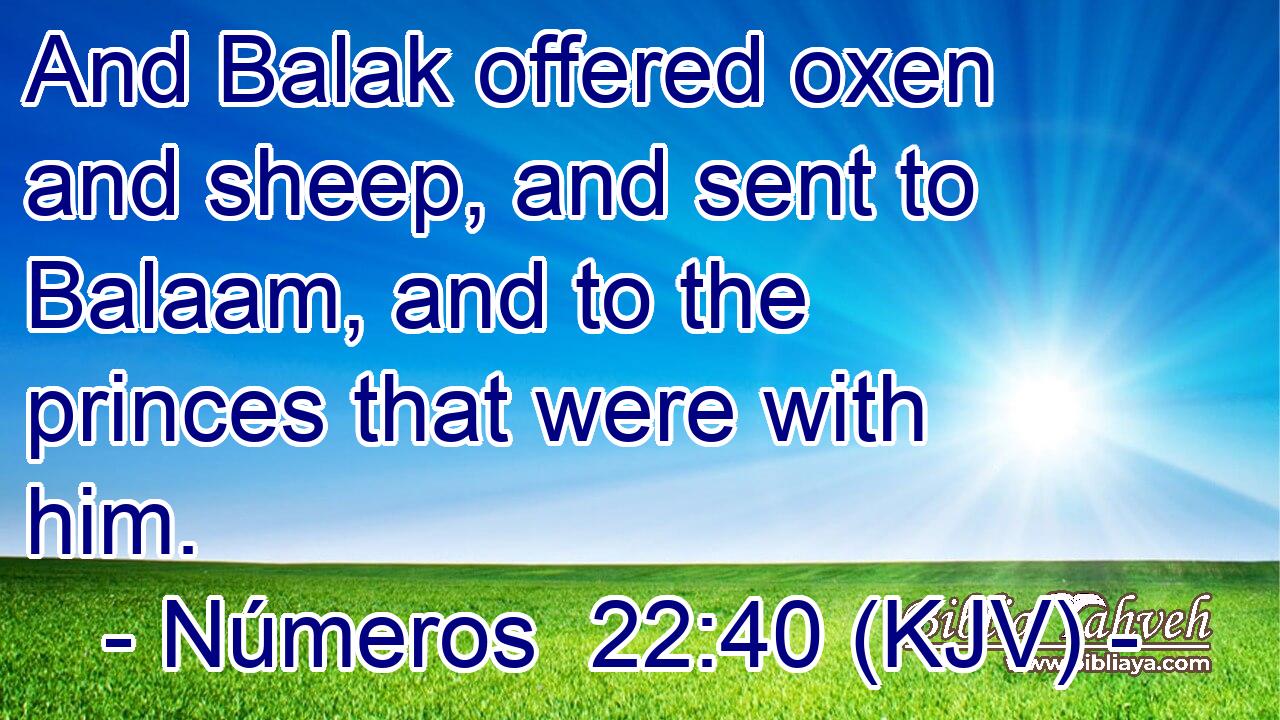 And Balak offered oxen and sheep, and sent to Balaam, and to the princes that were with him.