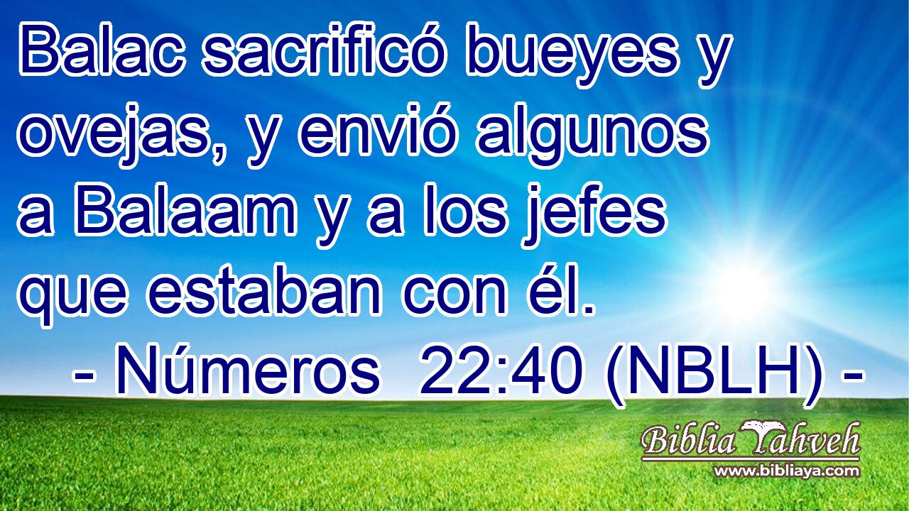  Balac sacrificó bueyes y ovejas, y envió algunos a Balaam y a los jefes que estaban con él. 