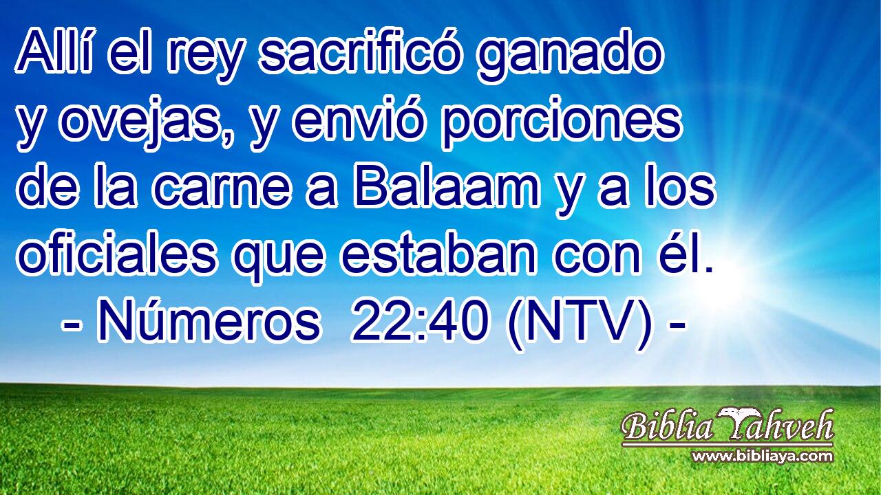 Allí el rey sacrificó ganado y ovejas, y envió porciones de la carne a Balaam y a los oficiales que estaban con él.