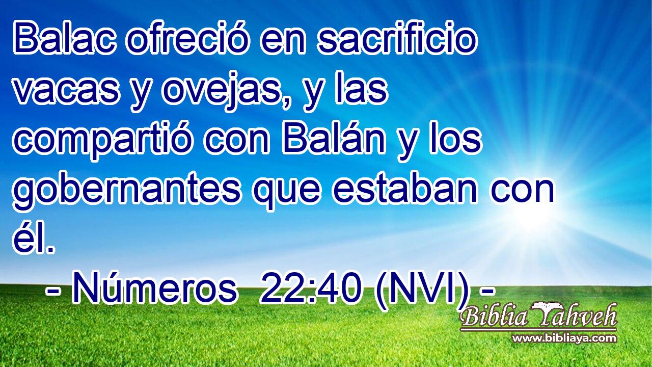  Balac ofreció en sacrificio vacas y ovejas, y las compartió con Balán y los gobernantes que estaban con él. 