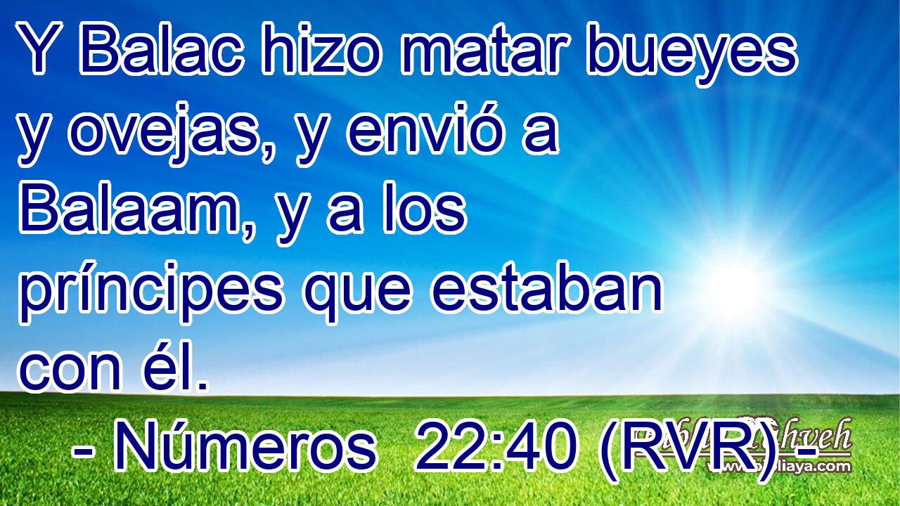 Y Balac hizo matar bueyes y ovejas, y envió a Balaam, y a los príncipes que estaban con él.