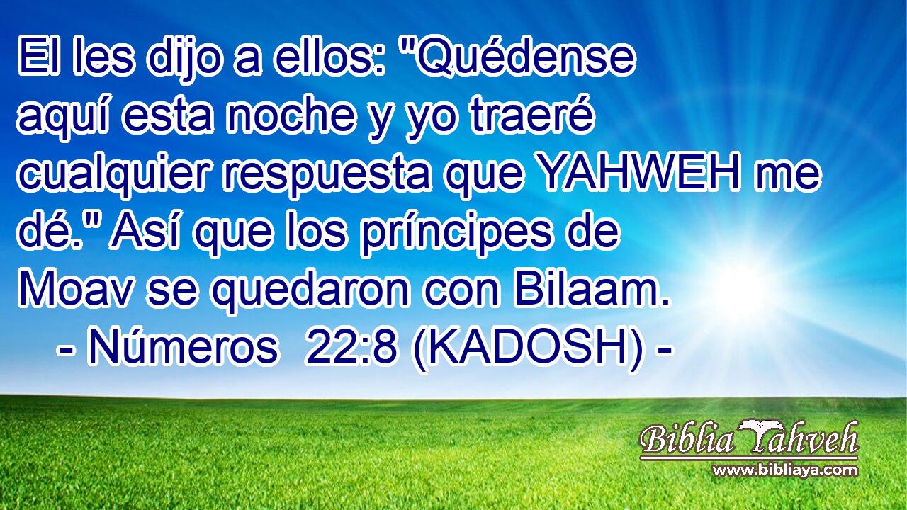  El les dijo a ellos: 