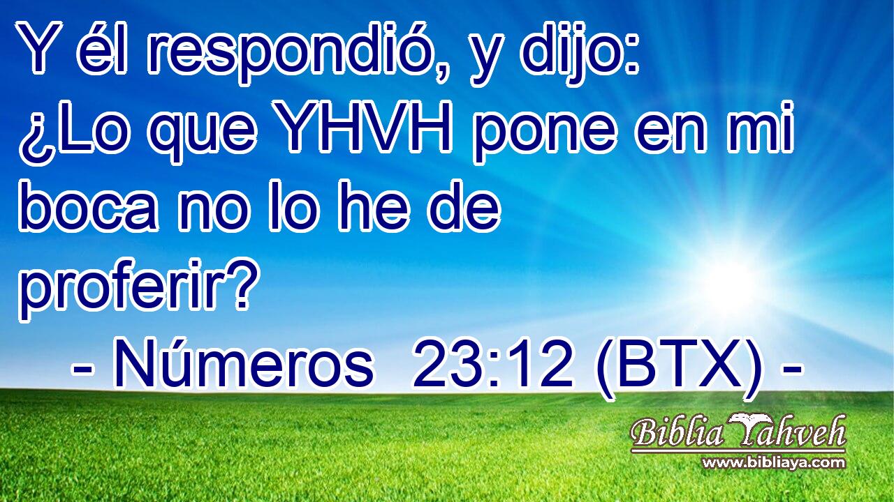 Y él respondió, y dijo: ¿Lo que YHVH pone en mi boca no lo he de proferir?