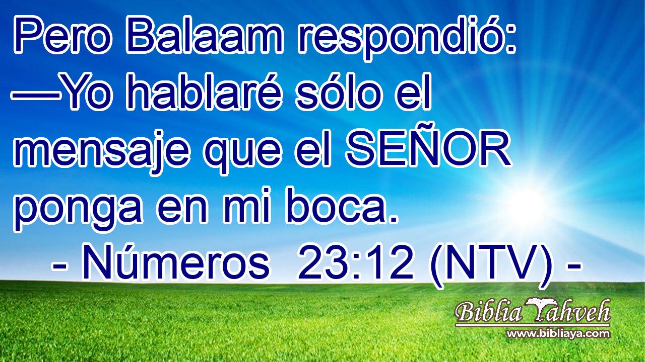 Pero Balaam respondió: —Yo hablaré sólo el mensaje que el SEÑOR ponga en mi boca.