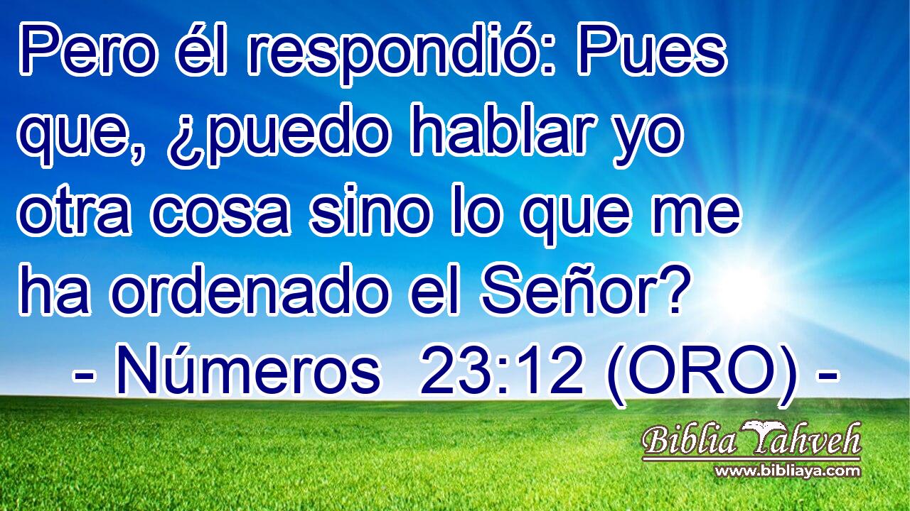  Pero él respondió: Pues que, ¿puedo hablar yo otra cosa sino lo que me ha ordenado el Señor? 