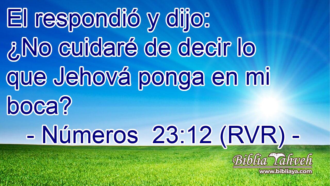 El respondió y dijo: ¿No cuidaré de decir lo que Jehová ponga en mi boca?