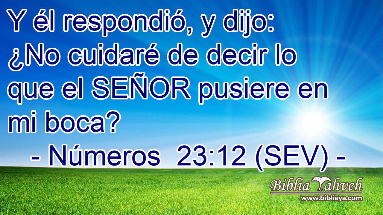 Y él respondió, y dijo: ¿No cuidaré de decir lo que el SEÑOR pusiere en mi boca?