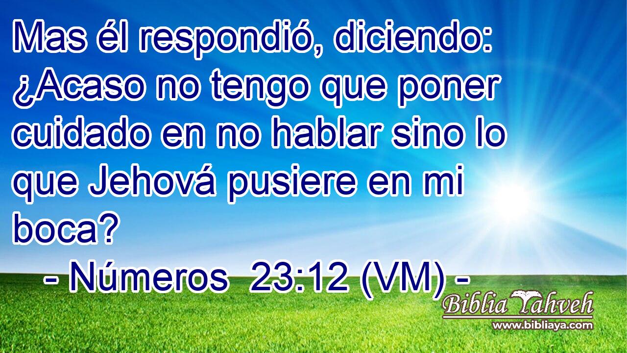 Mas él respondió, diciendo: ¿Acaso no tengo que poner cuidado en no hablar sino lo que Jehová pusiere en mi boca? 
