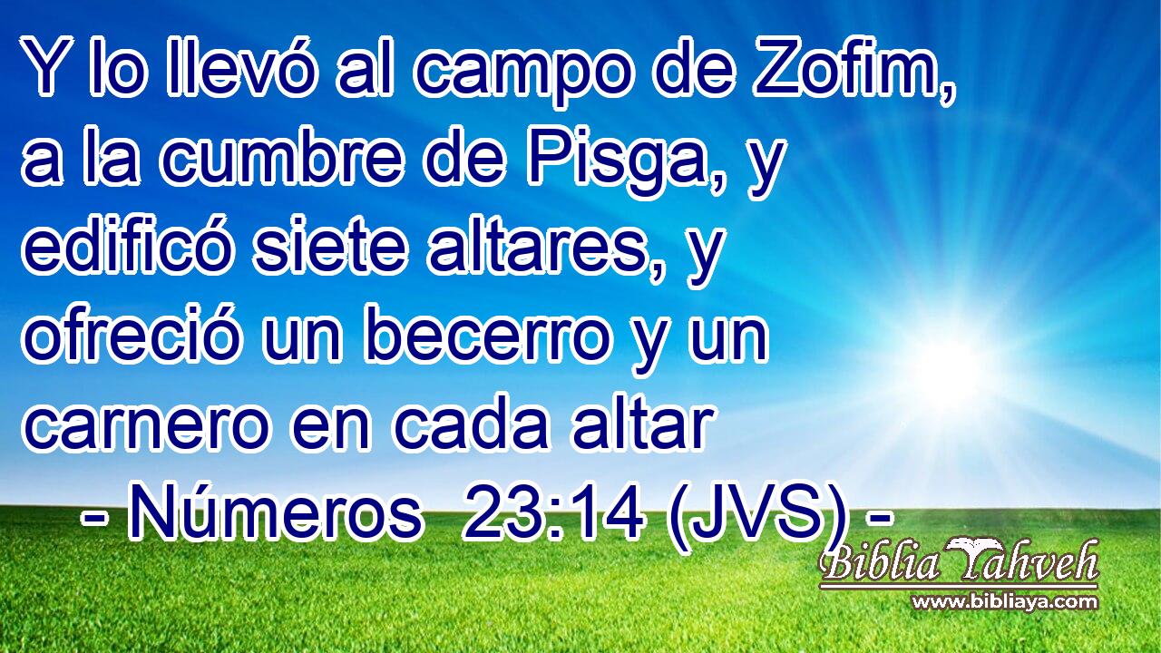 Y lo llevó al campo de Zofim, a la cumbre de Pisga, y edificó siete altares, y ofreció un becerro y un carnero en cada altar