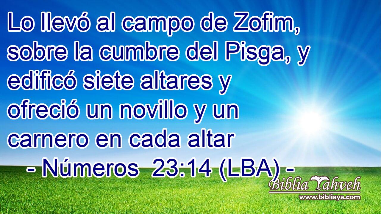 Lo llevó al campo de Zofim, sobre la cumbre del Pisga, y edificó siete altares y ofreció un novillo y un carnero en cada altar
