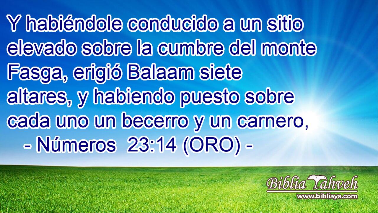  Y habiéndole conducido a un sitio elevado sobre la cumbre del monte Fasga, erigió Balaam siete altares, y habiendo puesto sobre cada uno un becerro y un carnero, 