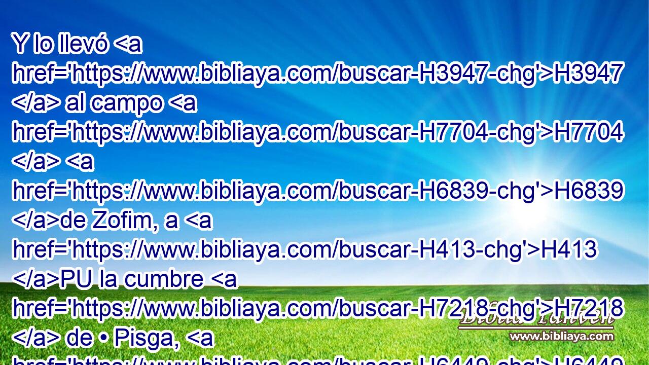 Y lo llevó H3947  al campo H7704  H6839 de Zofim, a H413 PU la cumbre H7218  de • Pisga, H6449  y edificó H1129  siete H7651  altares, H4196  y ofreció H5927  un becerro H6499  y un carnero H352  en cada altar. H4196 h 