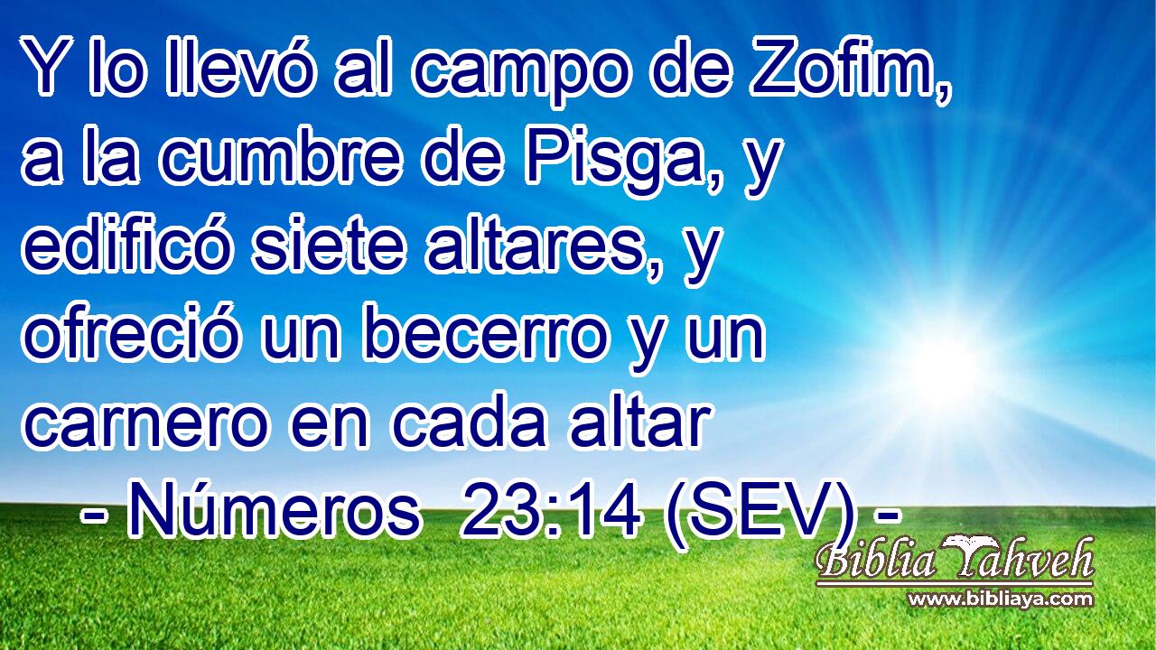 Y lo llevó al campo de Zofim, a la cumbre de Pisga, y edificó siete altares, y ofreció un becerro y un carnero en cada altar