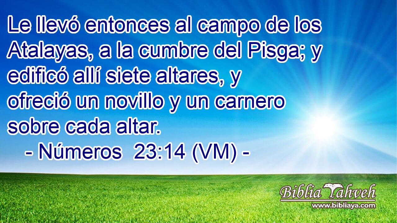  Le llevó entonces al campo de los Atalayas, a la cumbre del Pisga; y edificó allí siete altares, y ofreció un novillo y un carnero sobre cada altar. 
