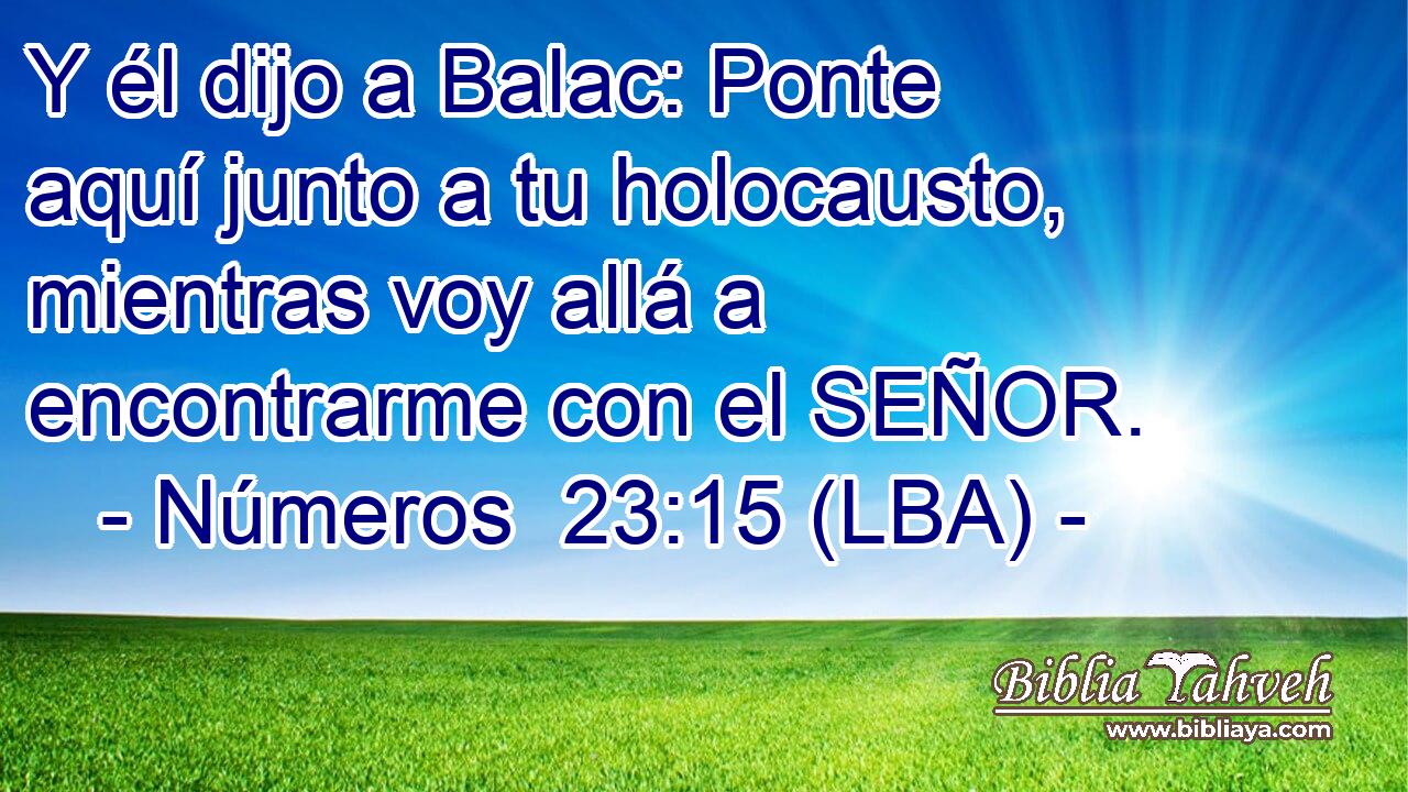 Y él dijo a Balac: Ponte aquí junto a tu holocausto, mientras voy allá a encontrarme con el SEÑOR.