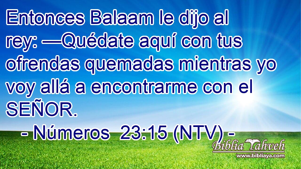Entonces Balaam le dijo al rey: —Quédate aquí con tus ofrendas quemadas mientras yo voy allá a encontrarme con el SEÑOR.