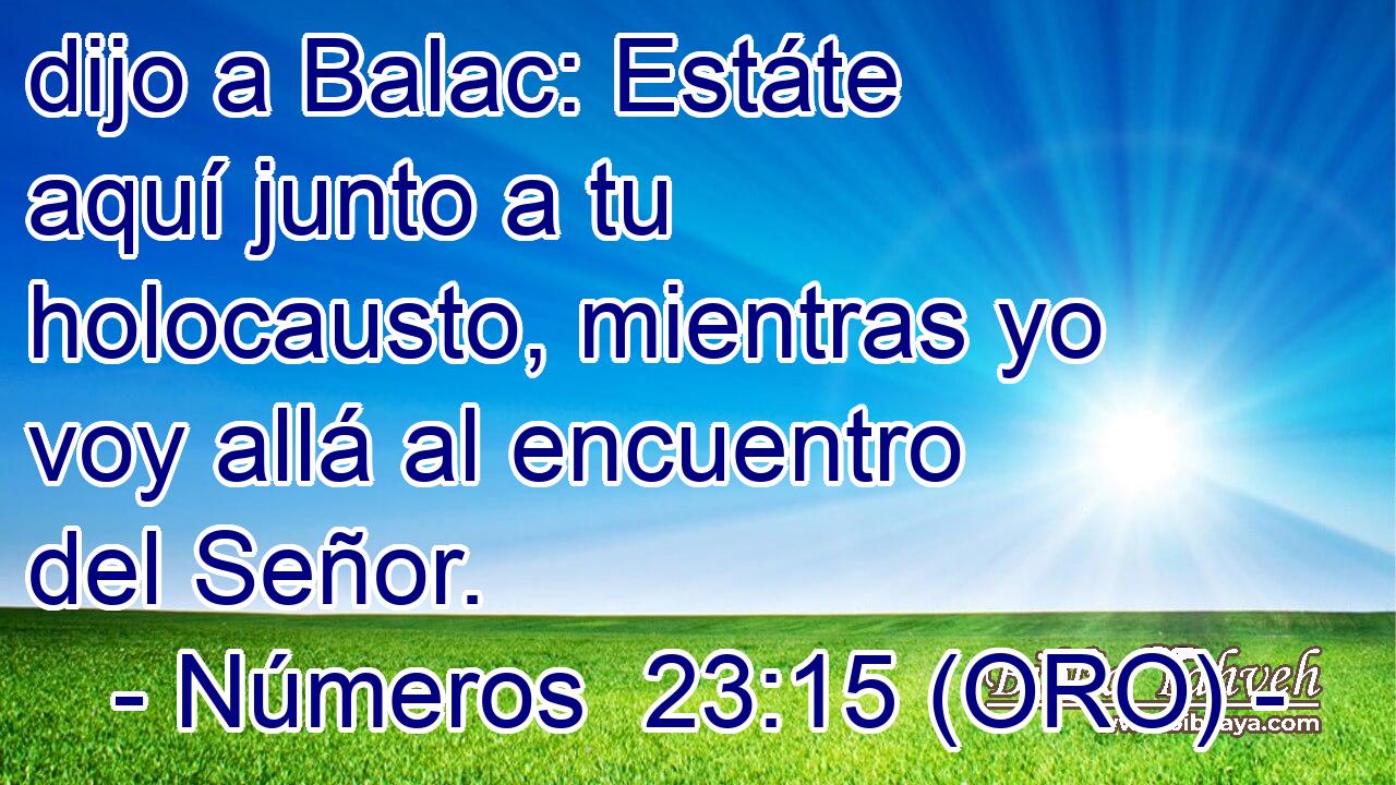  dijo a Balac: Estáte aquí junto a tu holocausto, mientras yo voy allá al encuentro del Señor. 