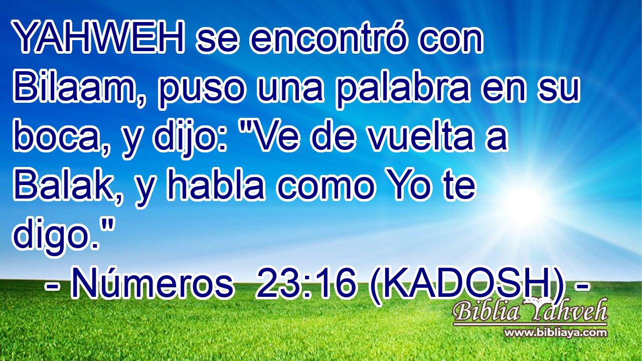  YAHWEH se encontró con Bilaam, puso una palabra en su boca, y dijo: 