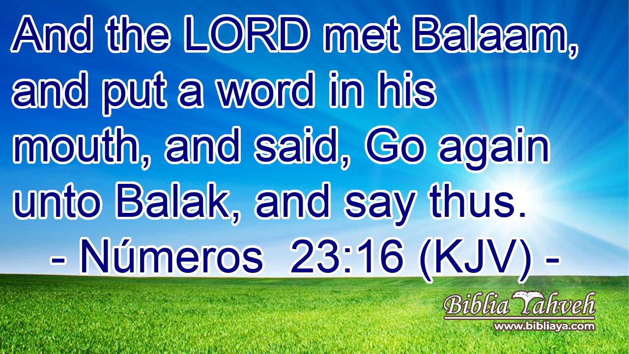 And the LORD met Balaam, and put a word in his mouth, and said, Go again unto Balak, and say thus.