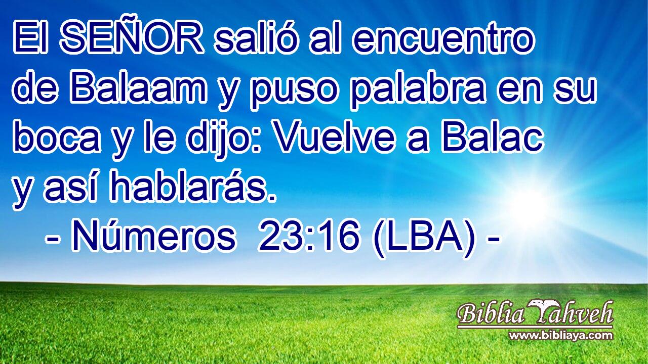 El SEÑOR salió al encuentro de Balaam y puso palabra en su boca y le dijo: Vuelve a Balac y así hablarás.
