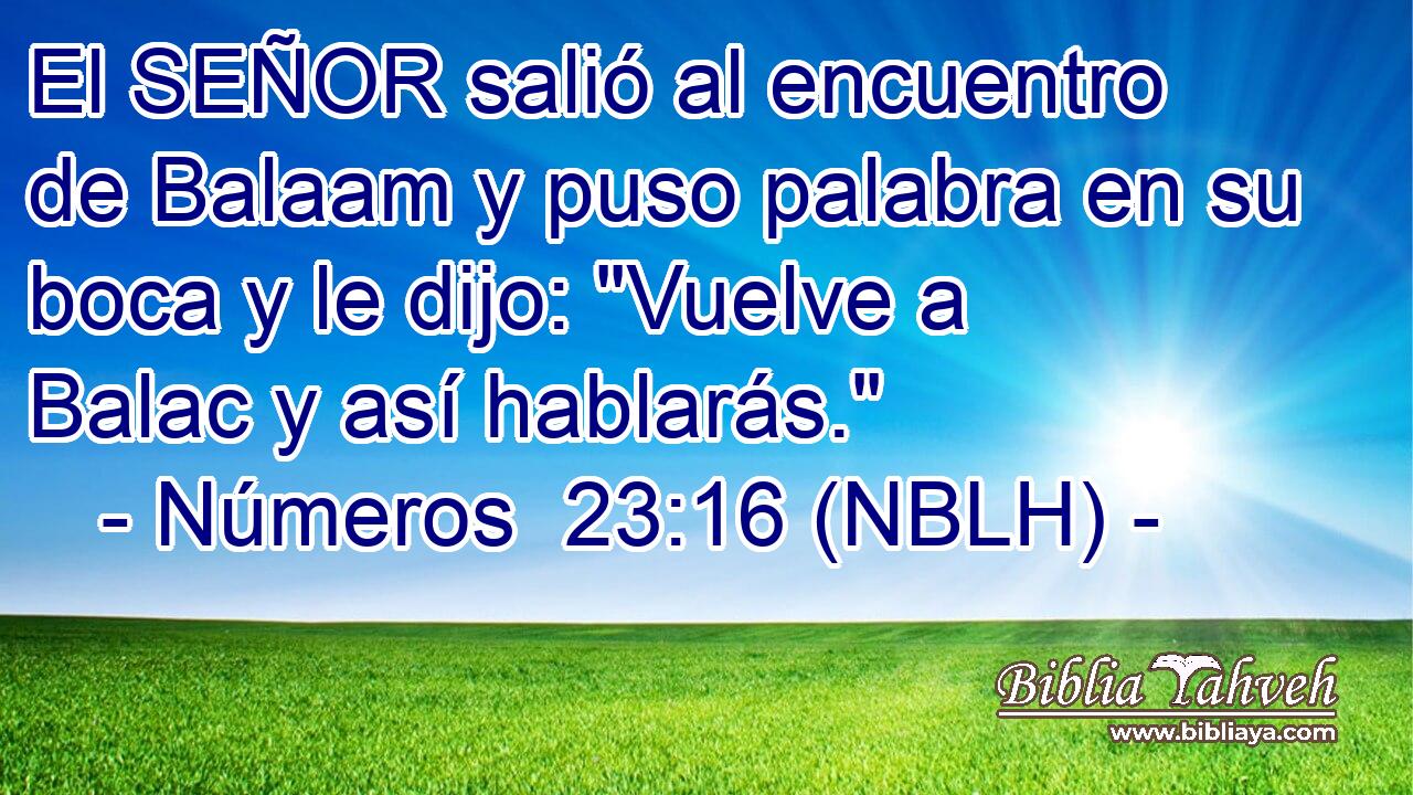  El SEÑOR salió al encuentro de Balaam y puso palabra en su boca y le dijo: 