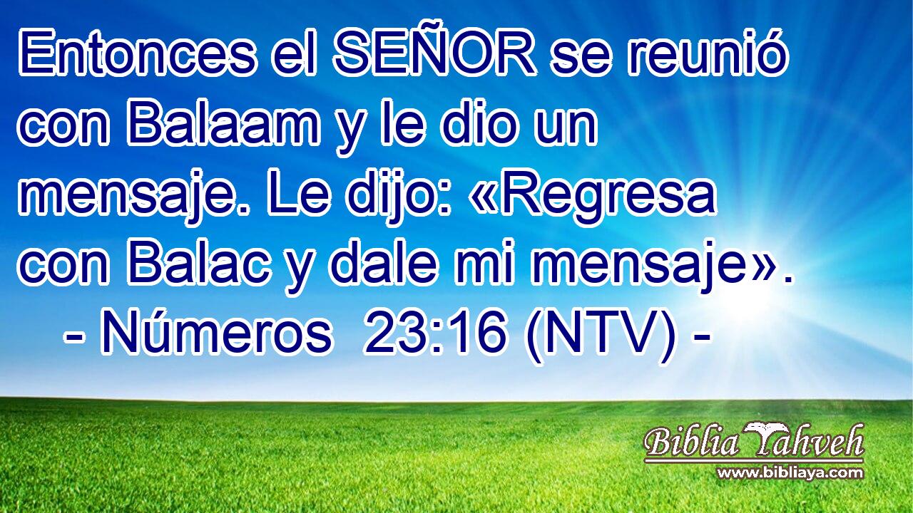 Entonces el SEÑOR se reunió con Balaam y le dio un mensaje. Le dijo: «Regresa con Balac y dale mi mensaje».