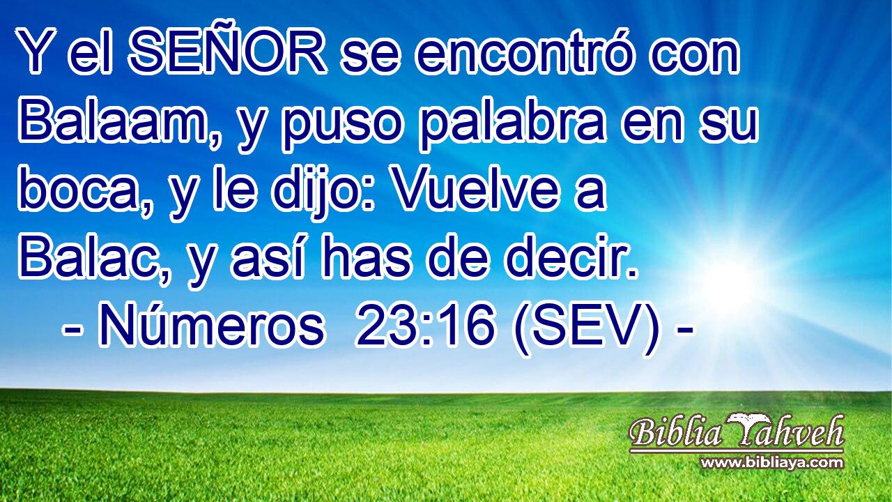 Y el SEÑOR se encontró con Balaam, y puso palabra en su boca, y le dijo: Vuelve a Balac, y así has de decir.