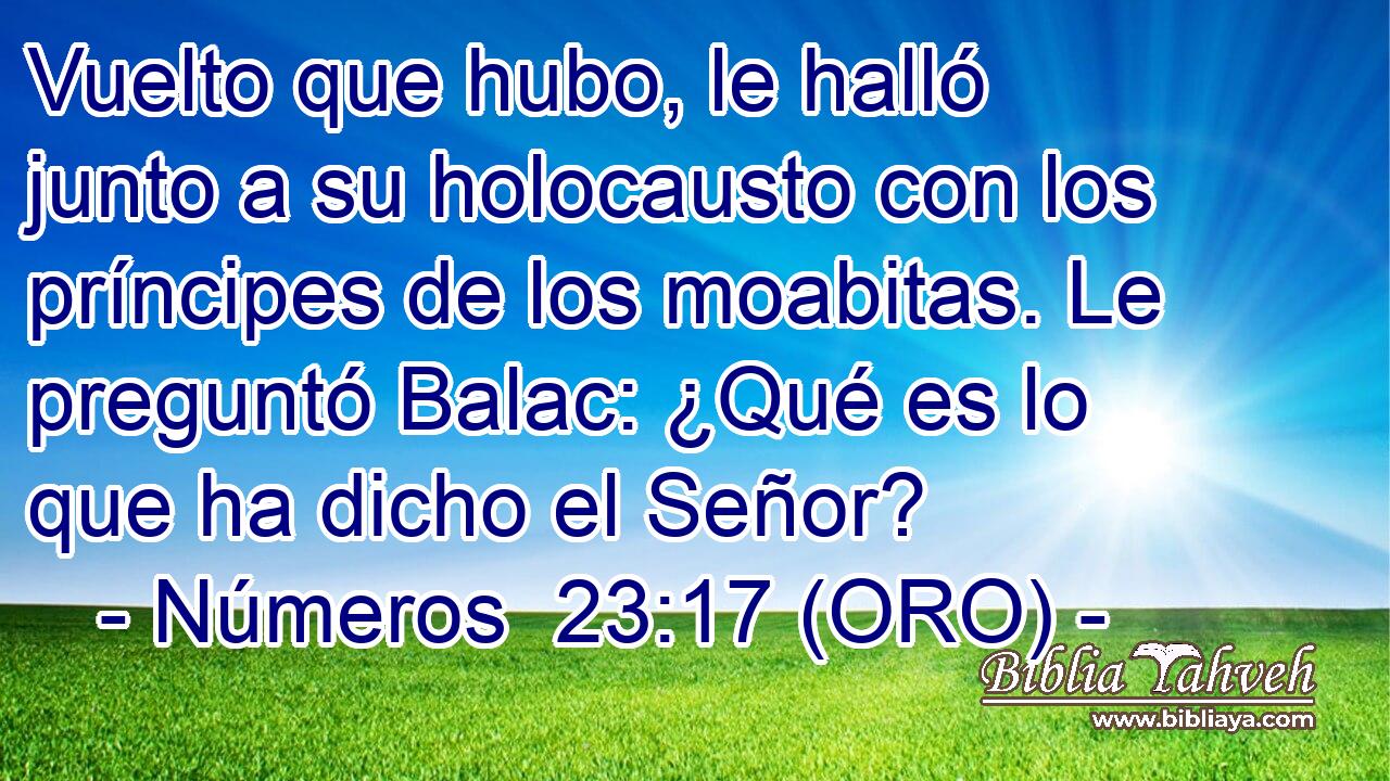 Vuelto que hubo, le halló junto a su holocausto con los príncipes de los moabitas. Le preguntó Balac: ¿Qué es lo que ha dicho el Señor? 