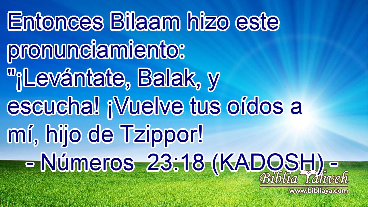  Entonces Bilaam hizo este pronunciamiento: 