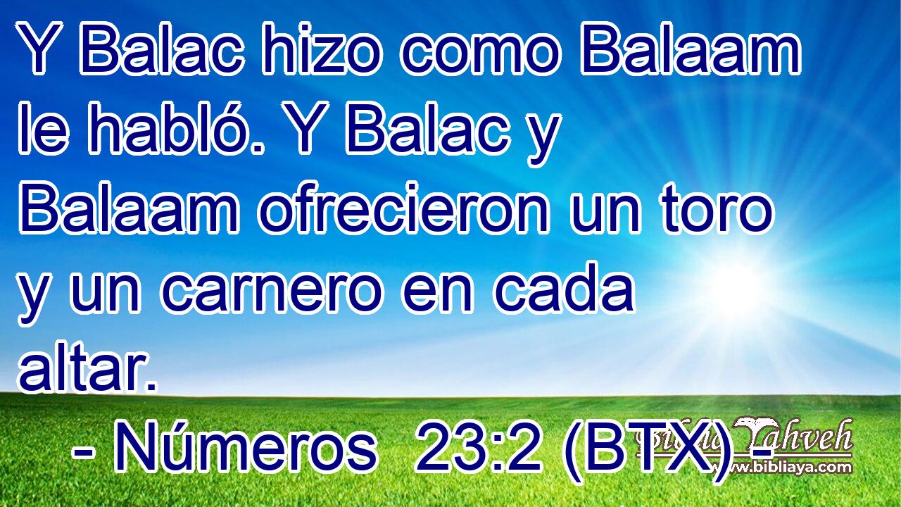 Y Balac hizo como Balaam le habló. Y Balac y Balaam ofrecieron un toro y un carnero en cada altar.