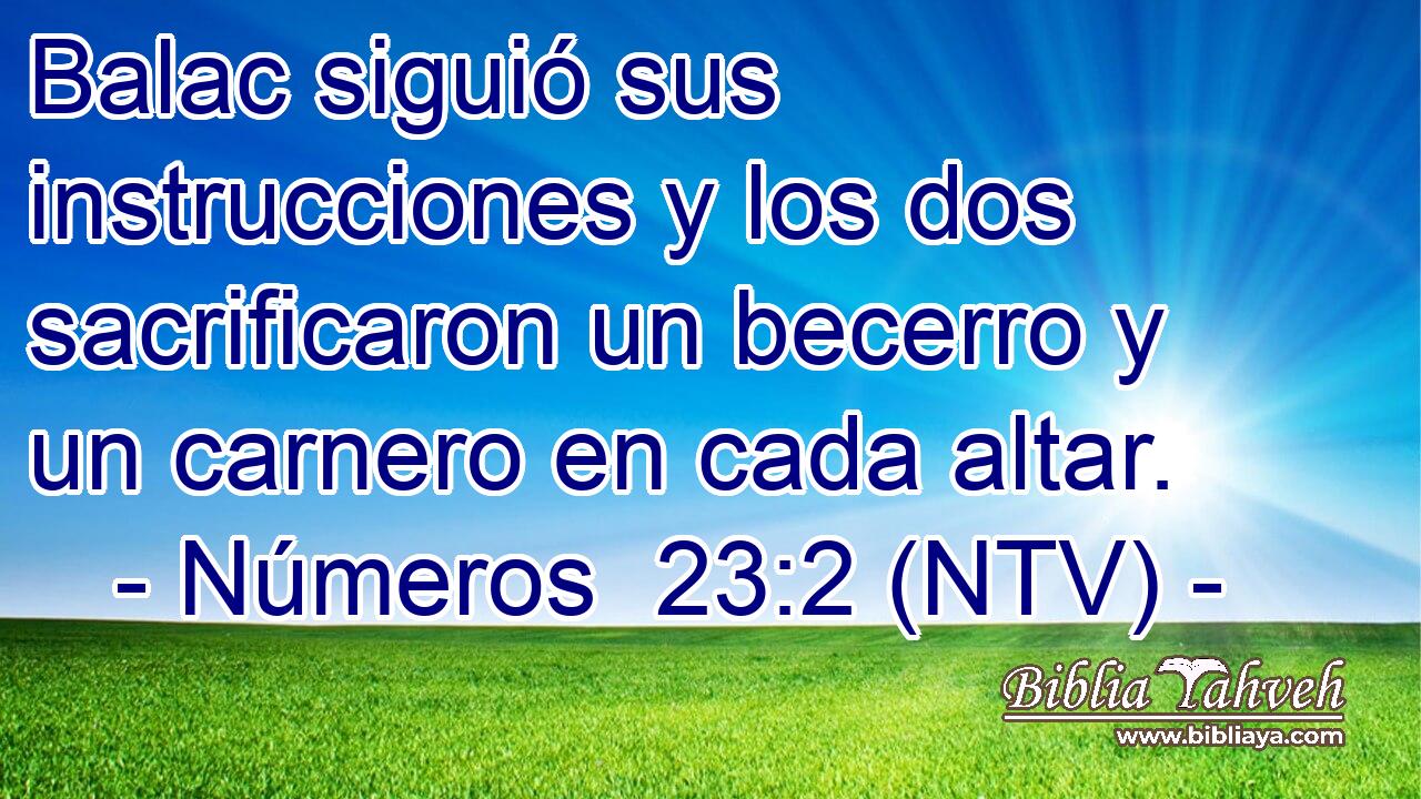 Balac siguió sus instrucciones y los dos sacrificaron un becerro y un carnero en cada altar.