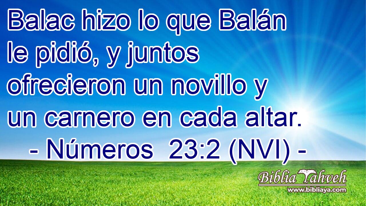  Balac hizo lo que Balán le pidió, y juntos ofrecieron un novillo y un carnero en cada altar. 