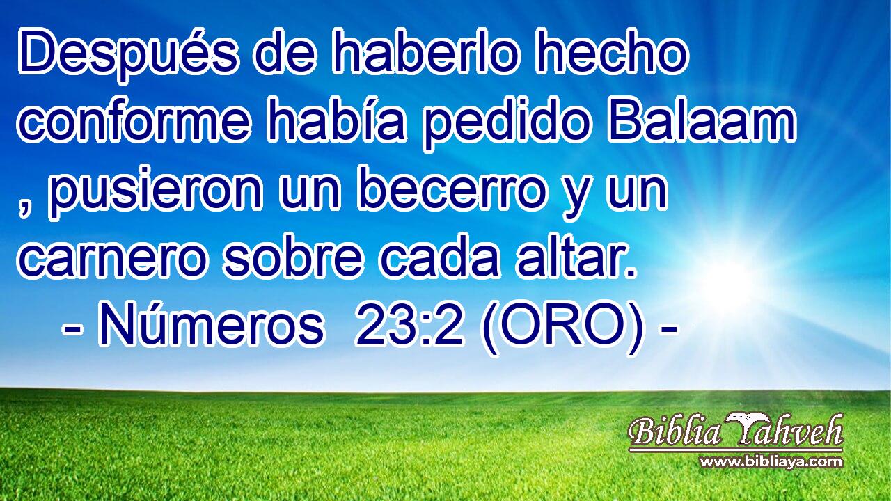  Después de haberlo hecho conforme había pedido Balaam , pusieron un becerro y un carnero sobre cada altar. 