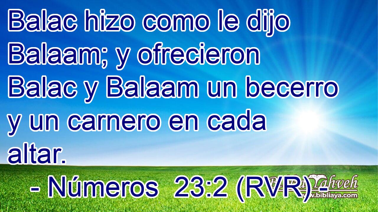 Balac hizo como le dijo Balaam; y ofrecieron Balac y Balaam un becerro y un carnero en cada altar.