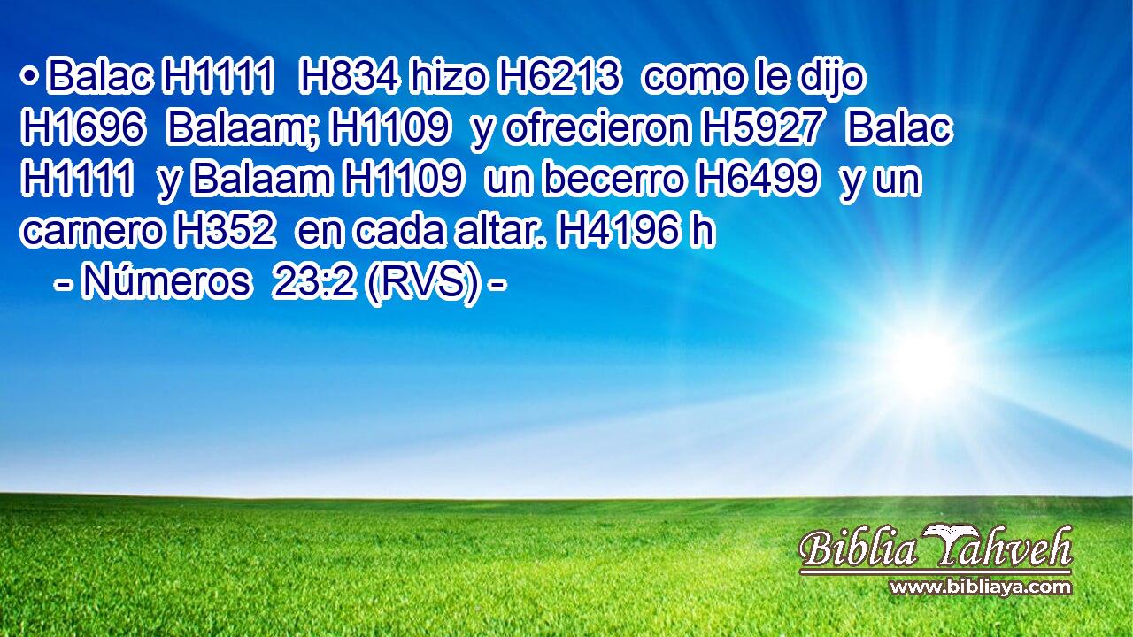 • Balac H1111  H834 hizo H6213  como le dijo H1696  Balaam; H1109  y ofrecieron H5927  Balac H1111  y Balaam H1109  un becerro H6499  y un carnero H352  en cada altar. H4196 h 