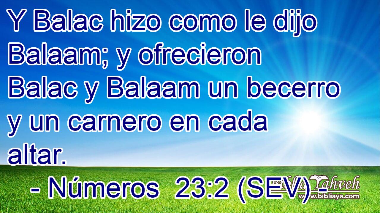 Y Balac hizo como le dijo Balaam; y ofrecieron Balac y Balaam un becerro y un carnero en cada altar.