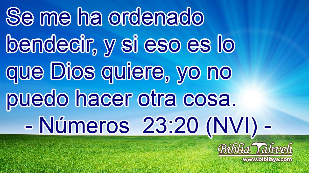  Se me ha ordenado bendecir, y si eso es lo que Dios quiere, yo no puedo hacer otra cosa. 