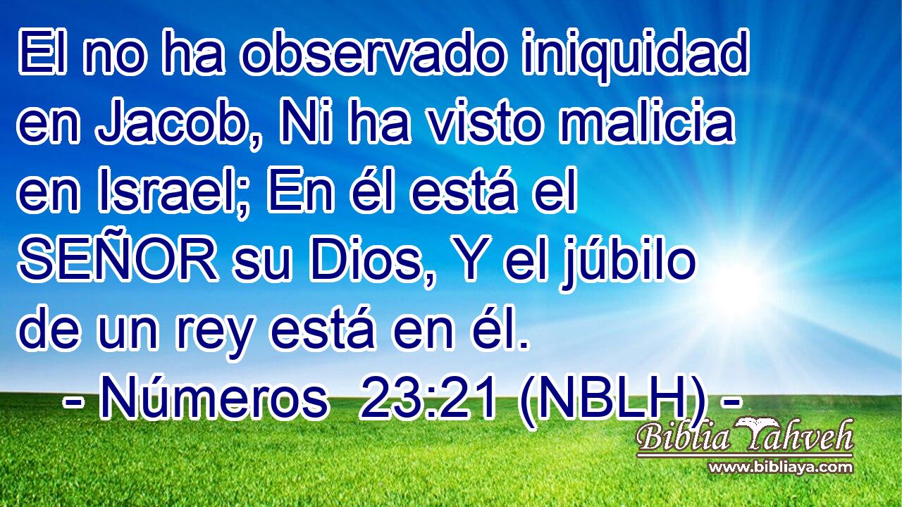  El no ha observado iniquidad en Jacob, Ni ha visto malicia en Israel; En él está el SEÑOR su Dios, Y el júbilo de un rey está en él. 