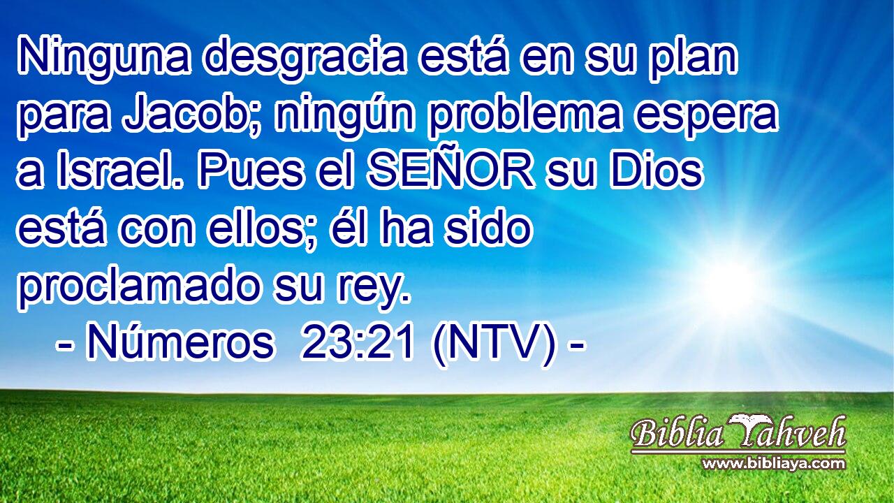 Ninguna desgracia está en su plan para Jacob; ningún problema espera a Israel. Pues el SEÑOR su Dios está con ellos; él ha sido proclamado su rey.