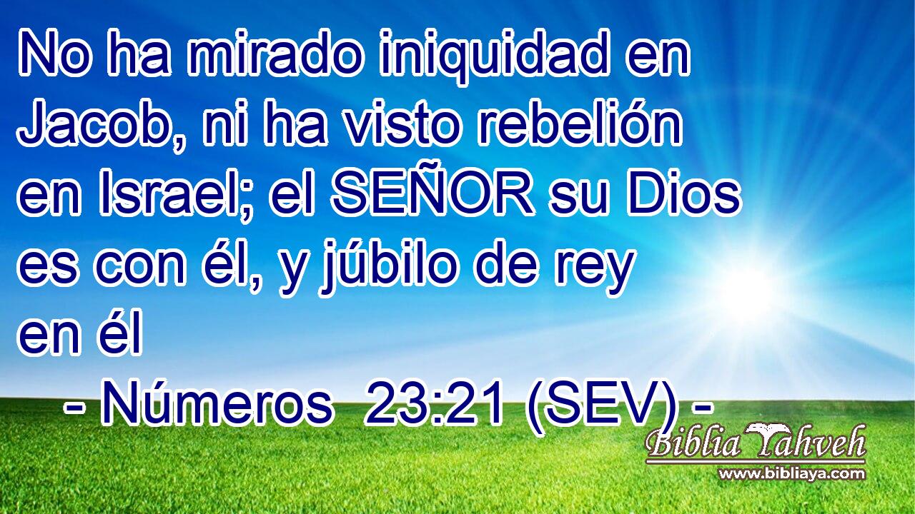 No ha mirado iniquidad en Jacob, ni ha visto rebelión en Israel; el SEÑOR su Dios es con él, y júbilo de rey en él