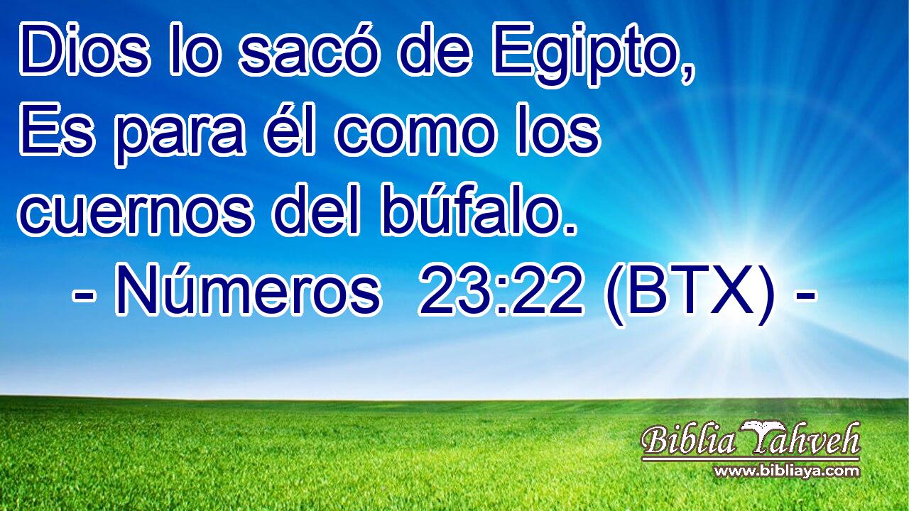 Dios lo sacó de Egipto, Es para él como los cuernos del búfalo.