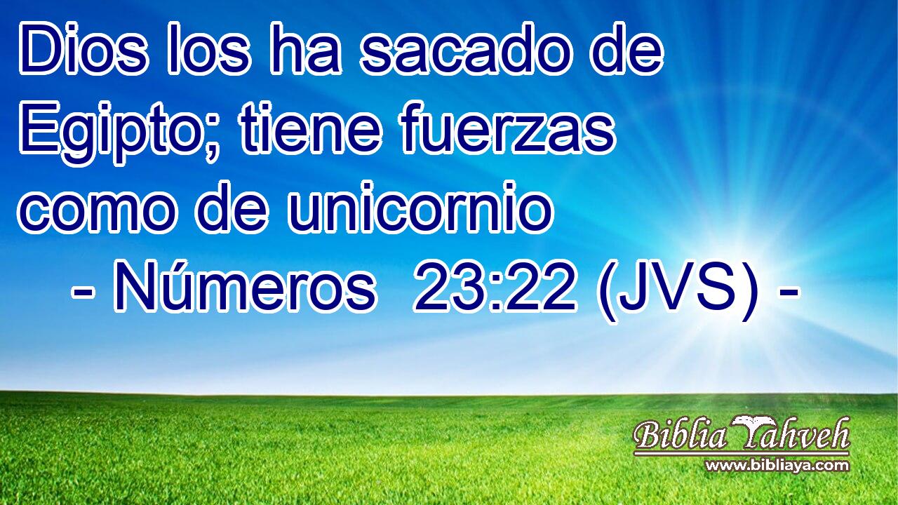 Dios los ha sacado de Egipto; tiene fuerzas como de unicornio