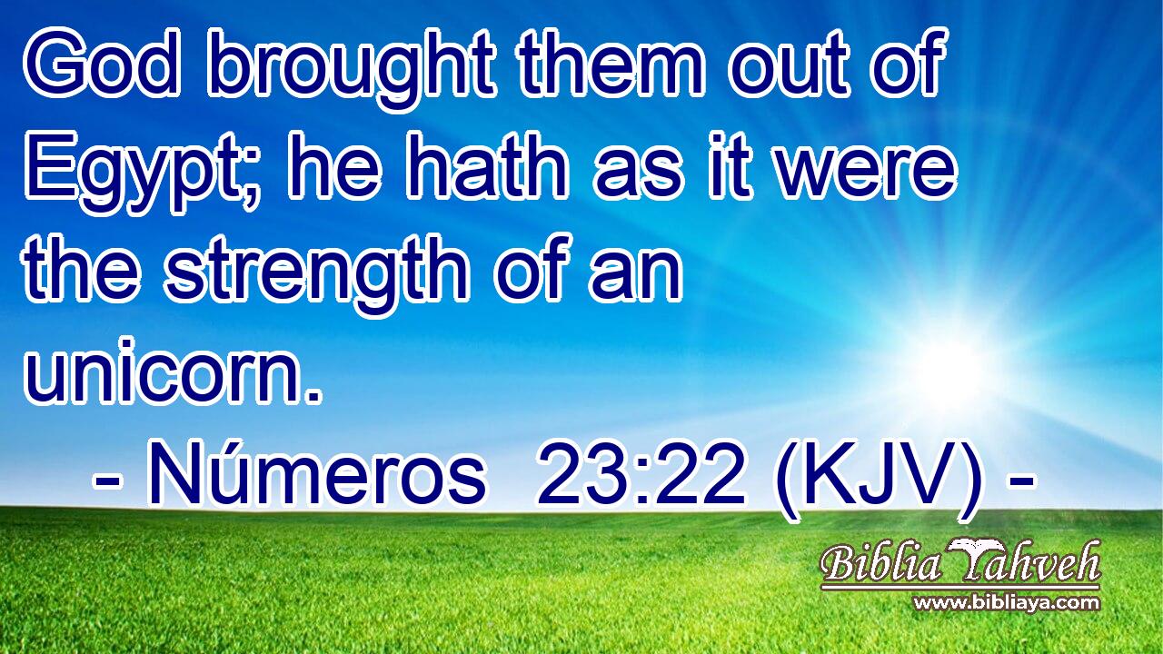 God brought them out of Egypt; he hath as it were the strength of an unicorn.