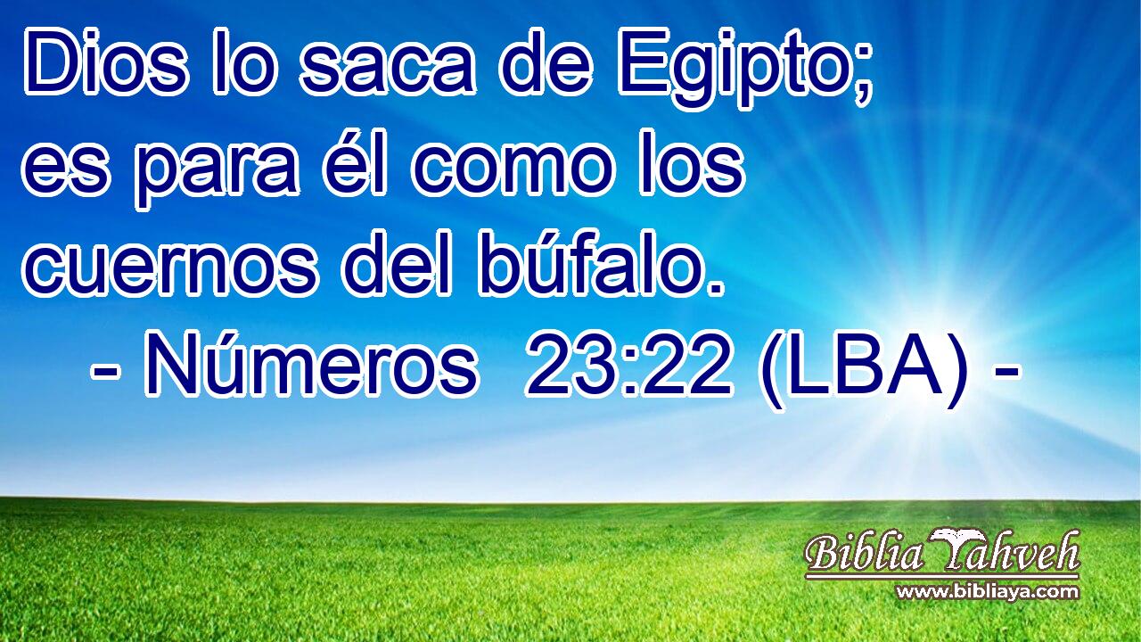 Dios lo saca de Egipto; es para él como los cuernos del búfalo.