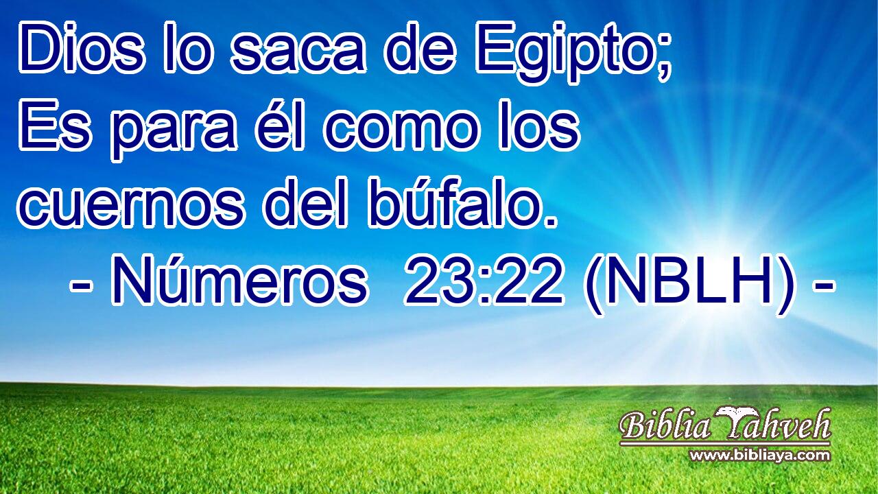  Dios lo saca de Egipto; Es para él como los cuernos del búfalo. 