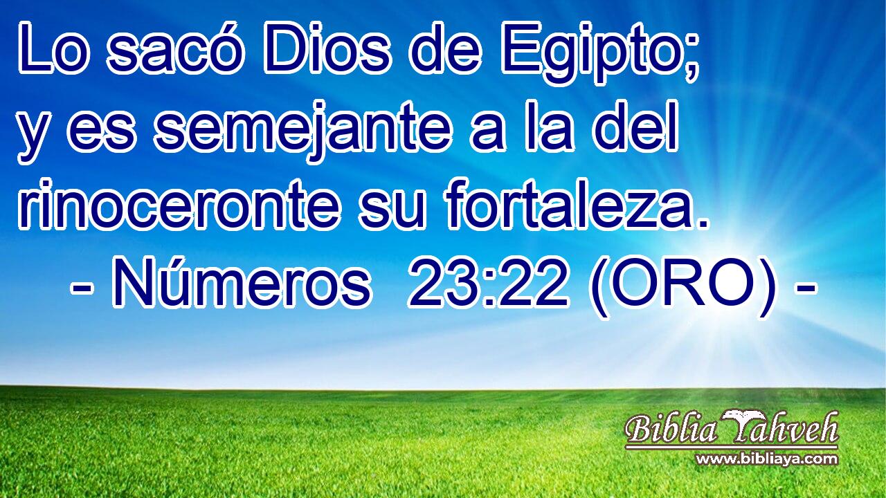  Lo sacó Dios de Egipto; y es semejante a la del rinoceronte su fortaleza. 