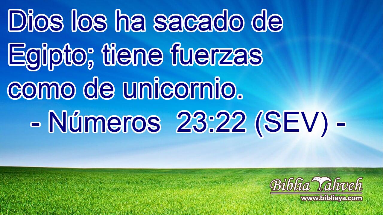 Dios los ha sacado de Egipto; tiene fuerzas como de unicornio.
