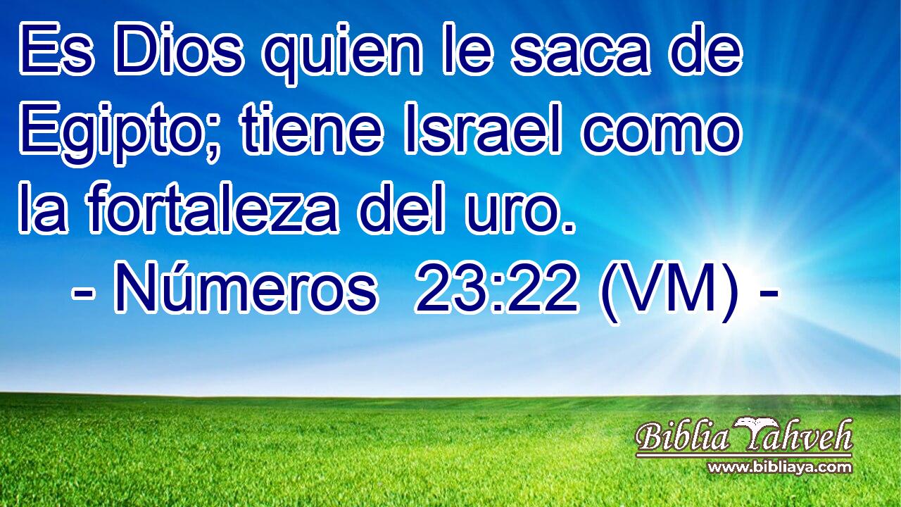  Es Dios quien le saca de Egipto; tiene Israel como la fortaleza del uro. 