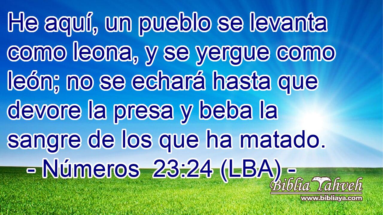 He aquí, un pueblo se levanta como leona, y se yergue como león; no se echará hasta que devore la presa y beba la sangre de los que ha matado.